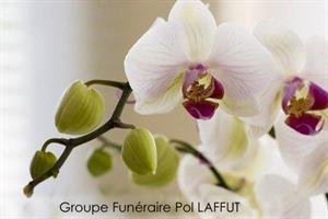 Photo 210164